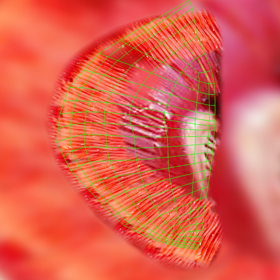6 Koi Fish Pack Animated 3D model https://p.turbosquid.com/ts-thumb/7b/ZTfeWY/Sj/44/jpg/1668363583/1920x1080/fit_q87/3efd04754d67a4208f3cc9891e4f1d7d250dc5cc/44.jpg