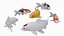 6 Koi Fish Pack animato
