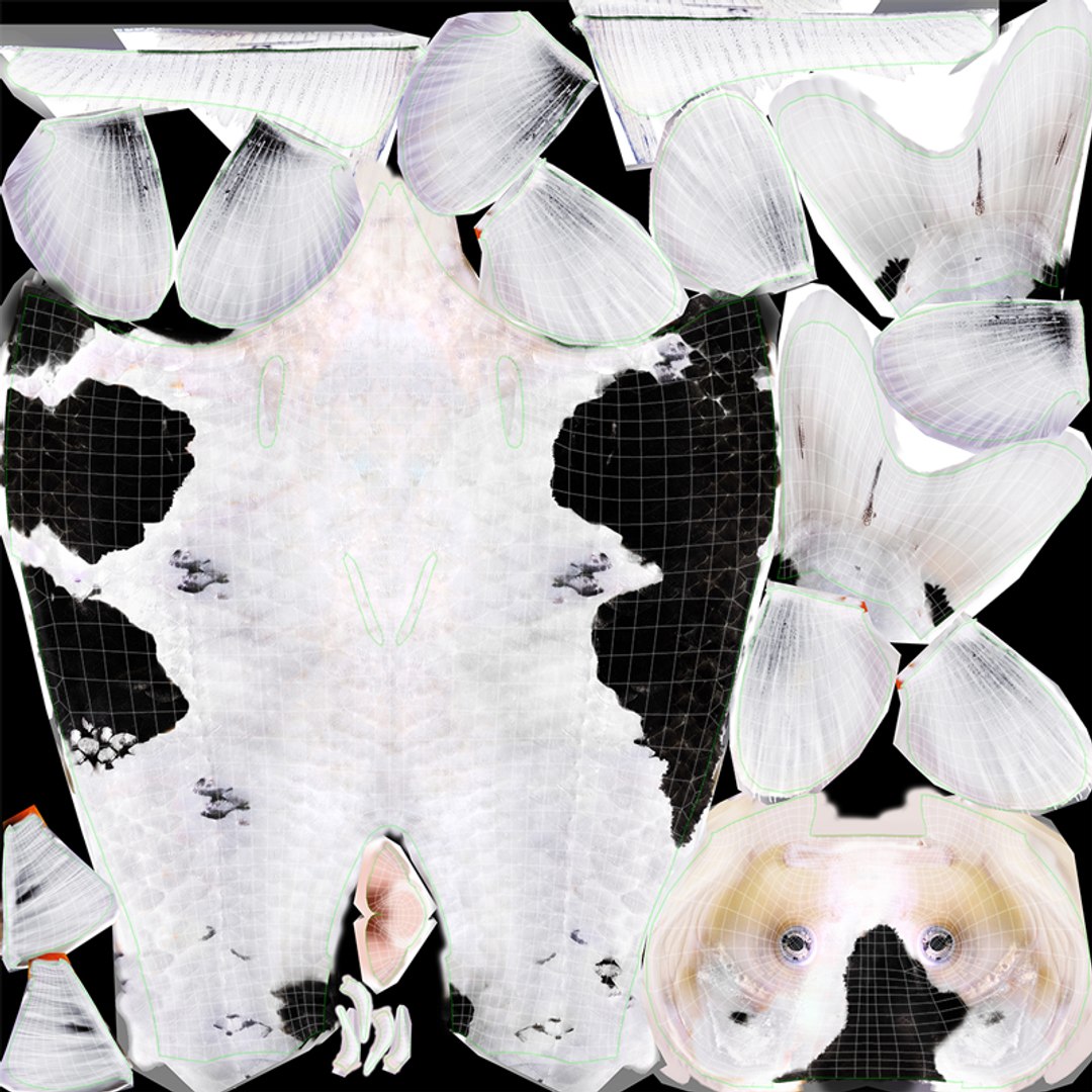 6 Koi Fish Pack Animated 3D model https://p.turbosquid.com/ts-thumb/7b/ZTfeWY/xl/untitled1/jpg/1668363584/1920x1080/fit_q87/0168d476e0c93a66d9d2d9478577afc05c2e8b16/untitled1.jpg
