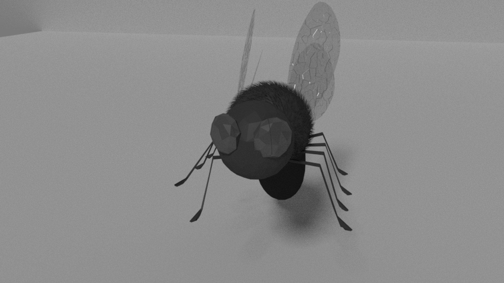 Fly 3d Model