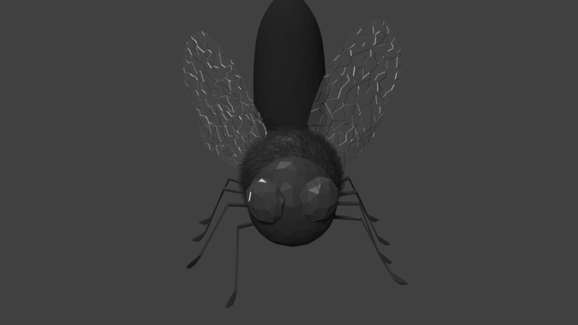 Fly 3d Model