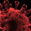 HIV Cell