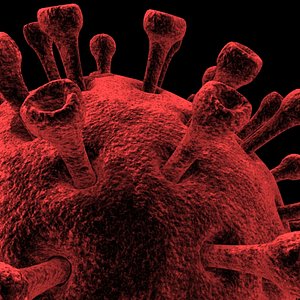 HIV Cell