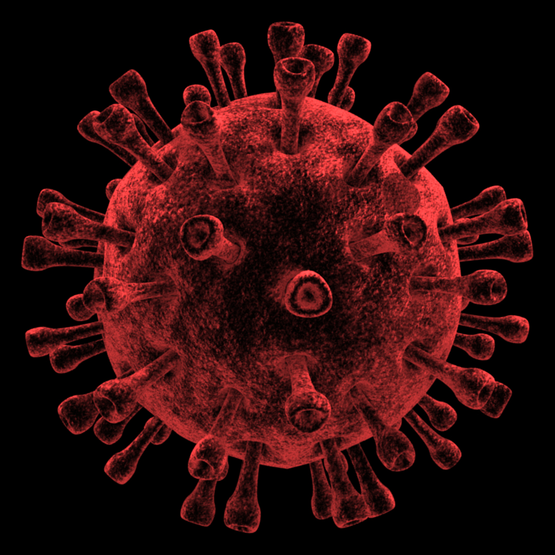 blender hiv microscopic virus https://p.turbosquid.com/ts-thumb/7b/dhdTXt/ujhuMKzy/01/png/1461021503/1920x1080/turn_fit_q99/abe99032faf58937f31dfa201c348c5d2997a635/01-1.jpg