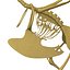 Realistic Bird Skeleton 3d Model