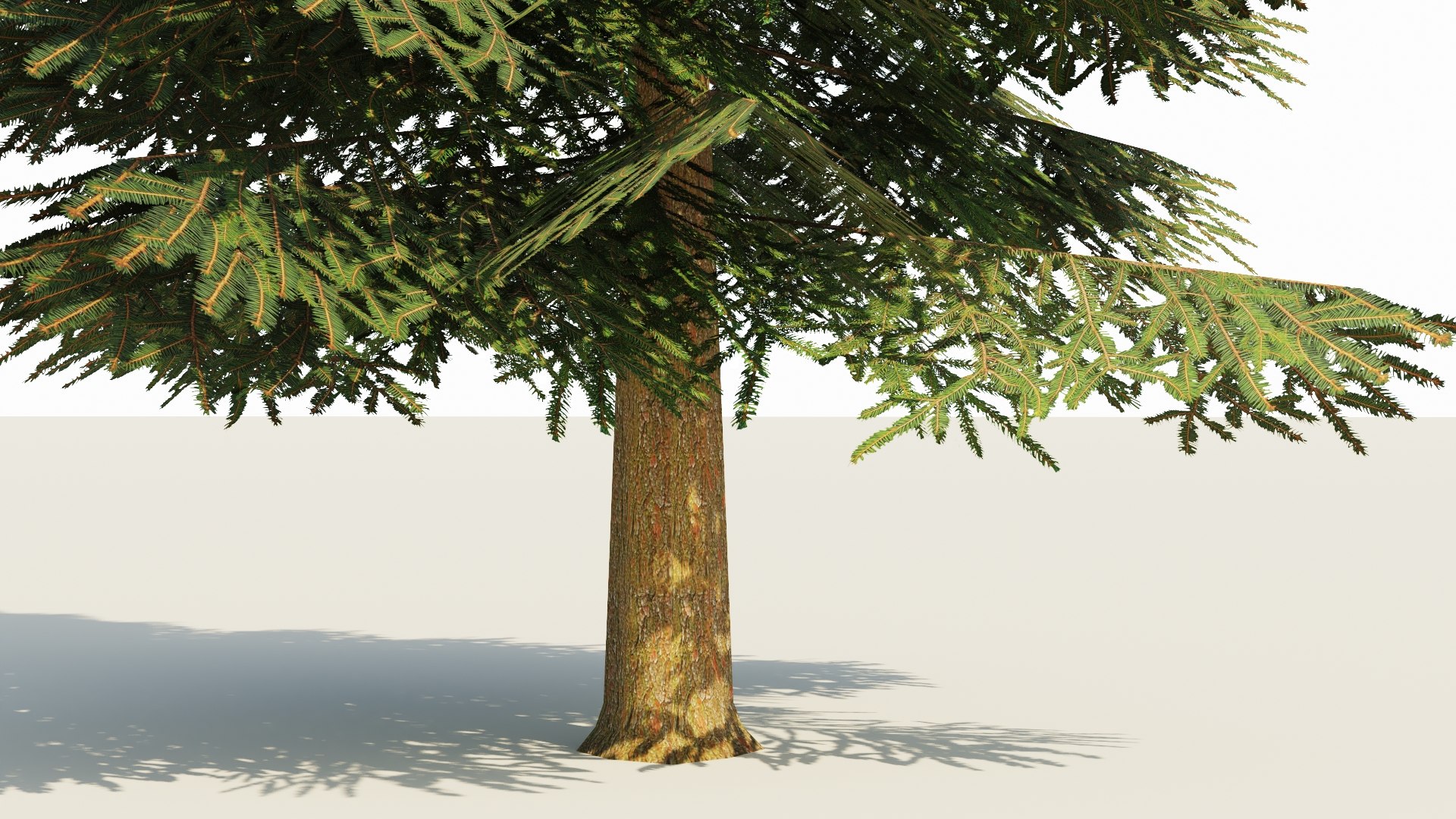 Spruce V5 Lowpoly 3D Model - TurboSquid 2319115