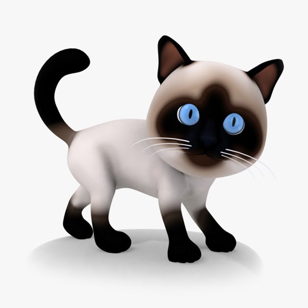 Котенок сиамский рисунок