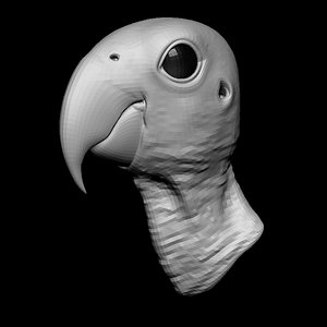 parrot head base mesh 3D model