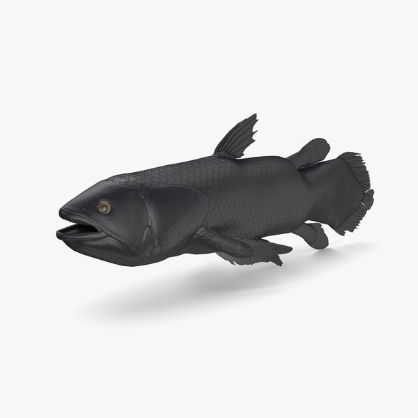 シーラカンス3Dモデル - TurboSquid 1463800