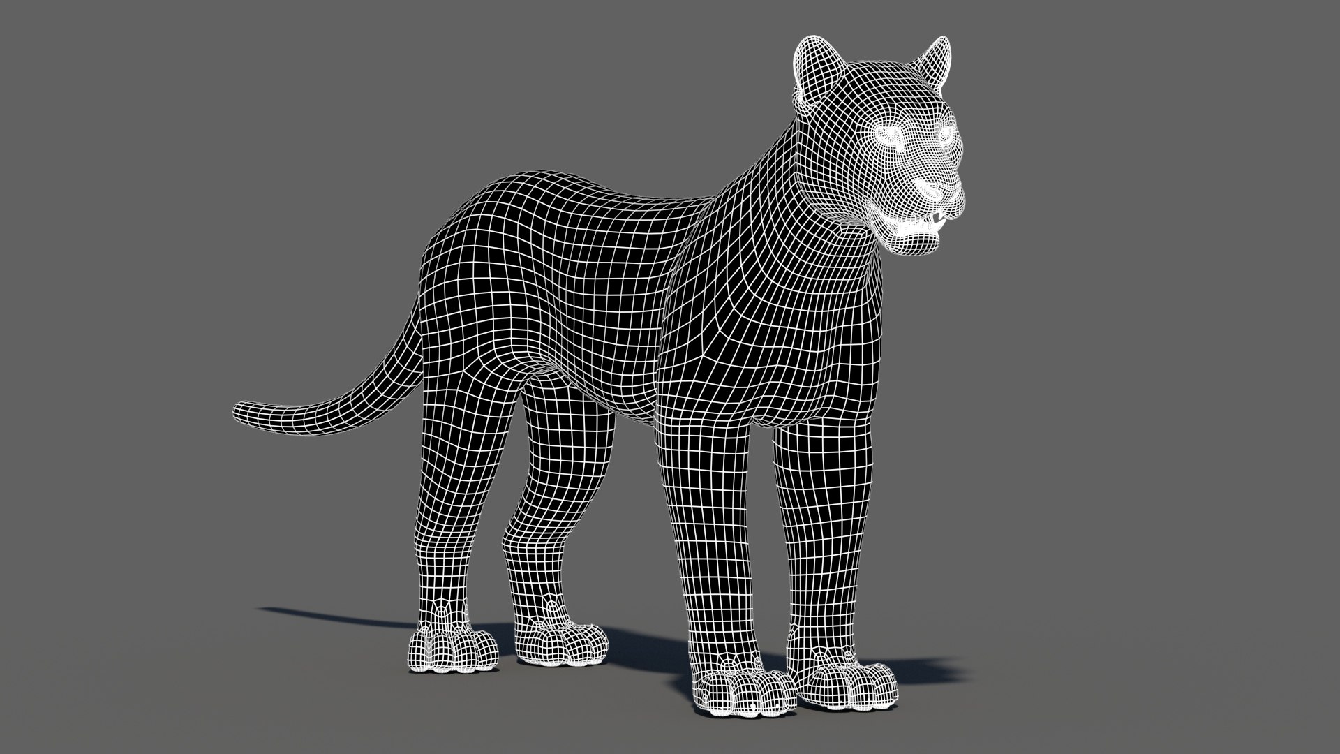 puma cat feline max https://p.turbosquid.com/ts-thumb/7c/8rELPw/Ju/puma3dmodelwireframe02/jpg/1717439318/1920x1080/fit_q87/fef9cb5b6a18c898f15f6ed2bf9e952931859265/puma3dmodelwireframe02.jpg