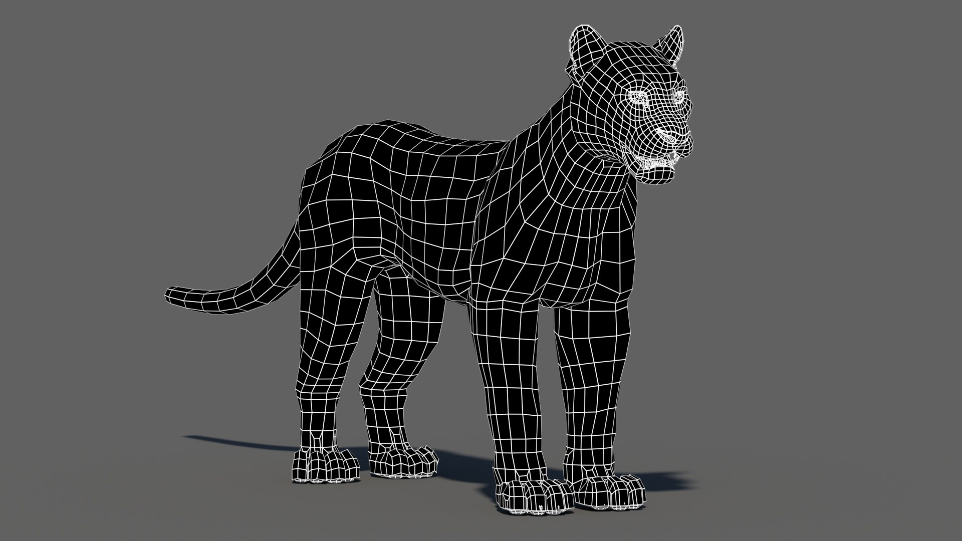 puma cat feline max https://p.turbosquid.com/ts-thumb/7c/8rELPw/n7/puma3dmodelwireframe01/jpg/1717439318/1920x1080/fit_q87/7e08425094bf83c93b6039e177b6e92f00de9548/puma3dmodelwireframe01.jpg
