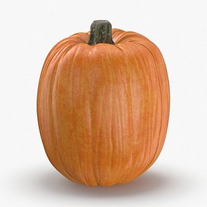 3D model pumpkin-patch---03
