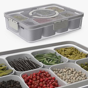 3D Container with Dividers for Storing Spices model