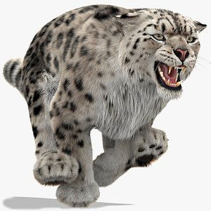 snow leopard 3 furry 3D model