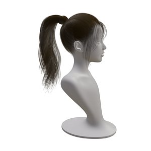 3D Realistic Woman Black high ponytail long Hair Style