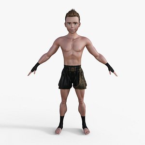 Cartoon Fighter Man Rigged