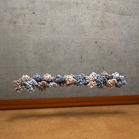 Actin Protein Chain