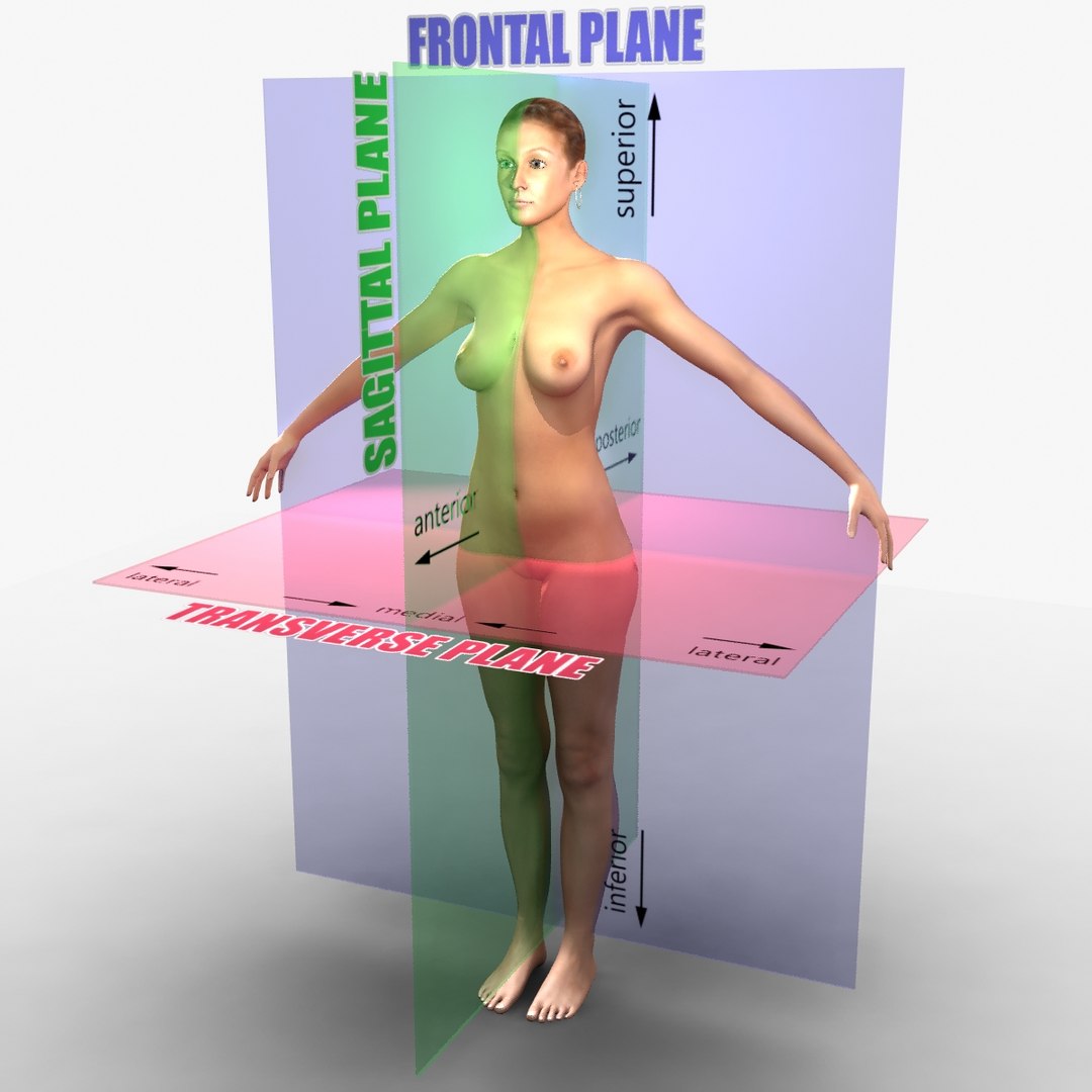 ma rigged male female combo https://p.turbosquid.com/ts-thumb/7c/o2DlA2/4n9Syn3B/0006/jpg/1396970860/1920x1080/fit_q87/a11bfc72a1c4ecbe1f97d4bdfae83a104bfa9626/0006.jpg
