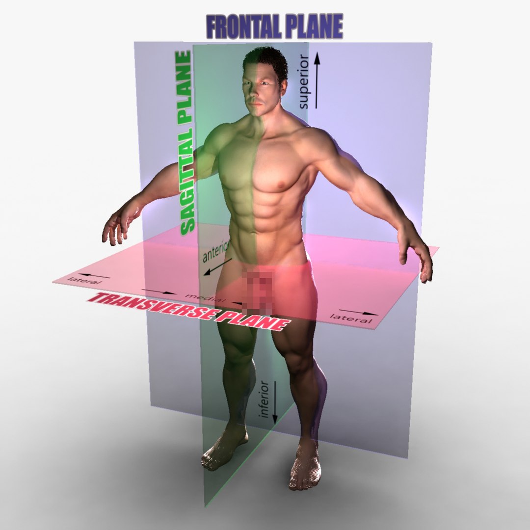 ma rigged male female combo https://p.turbosquid.com/ts-thumb/7c/o2DlA2/5ejykxOB/0006/jpg/1396970810/1920x1080/fit_q87/059dfb99eb379bbe0939bcfb8da6859b5b79c45f/0006.jpg