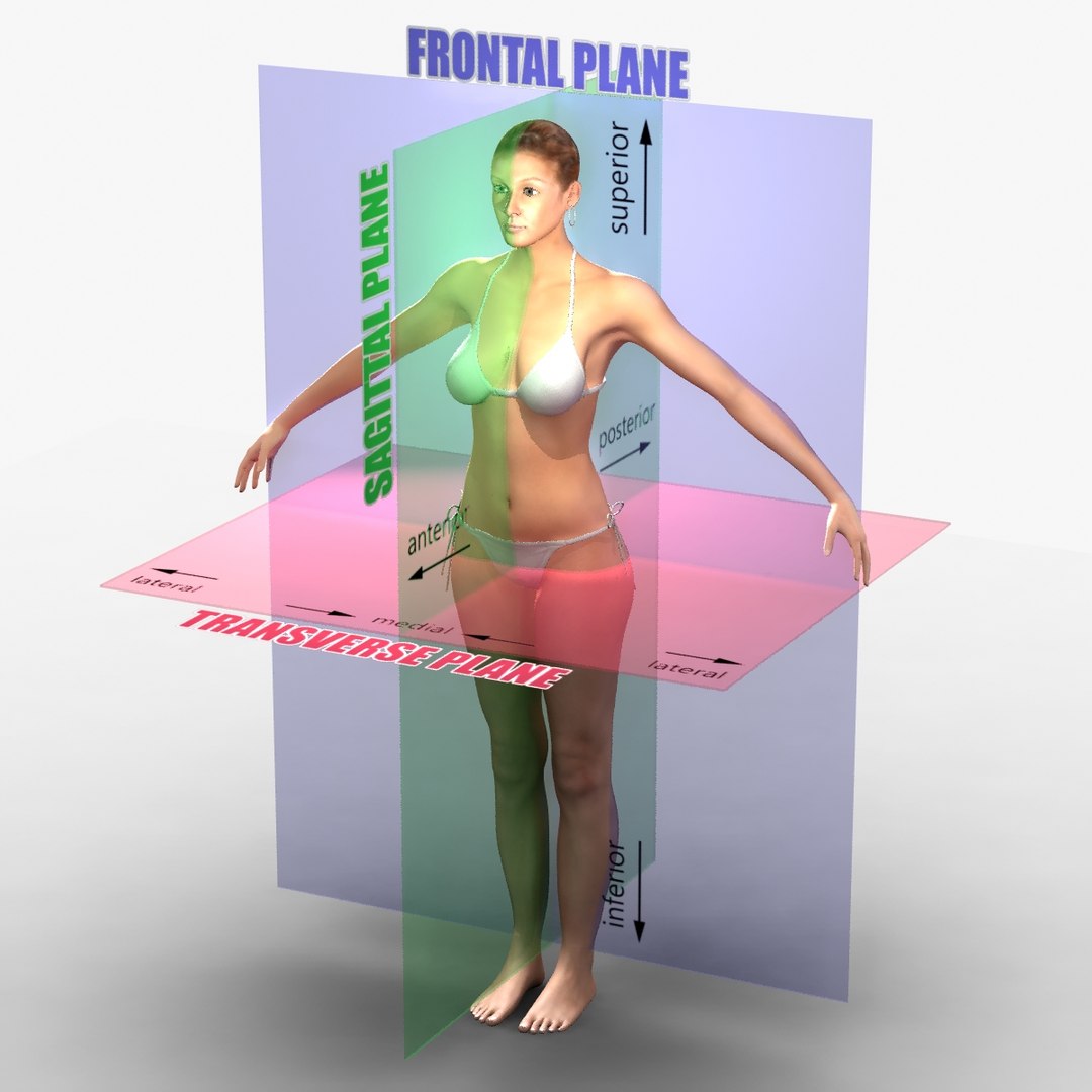 ma rigged male female combo https://p.turbosquid.com/ts-thumb/7c/o2DlA2/SInlcOvu/0000/jpg/1396970859/1920x1080/fit_q87/8360cc425df2c5f0c410c38071a67ef6b0f255ea/0000.jpg
