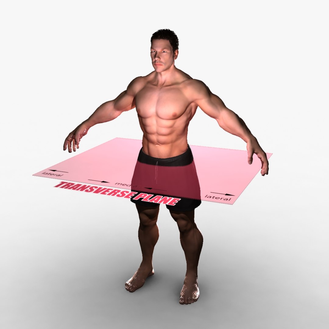 ma rigged male female combo https://p.turbosquid.com/ts-thumb/7c/o2DlA2/t9TlX5lY/0004/jpg/1396970810/1920x1080/fit_q87/e5dca2ba5ff84569ace364548b5d93508f66c6fd/0004.jpg
