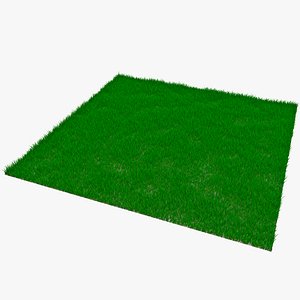 3d rectangular grass patch