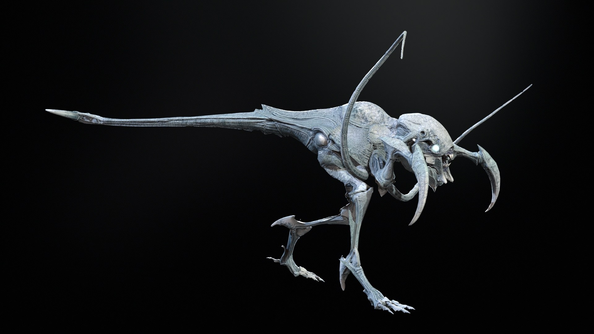 Raptor 3D Model - TurboSquid 2066832