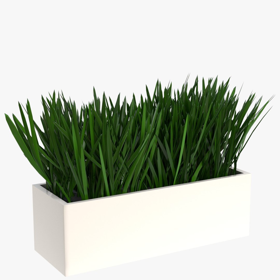 grass pot 2 3D model https://p.turbosquid.com/ts-thumb/7c/vilHtI/9l/247grass_in_a_pot_20001/jpg/1640863818/1920x1080/fit_q87/a46a77547d6984b0db72f7c2f840110fbe77f7d1/247grass_in_a_pot_20001.jpg