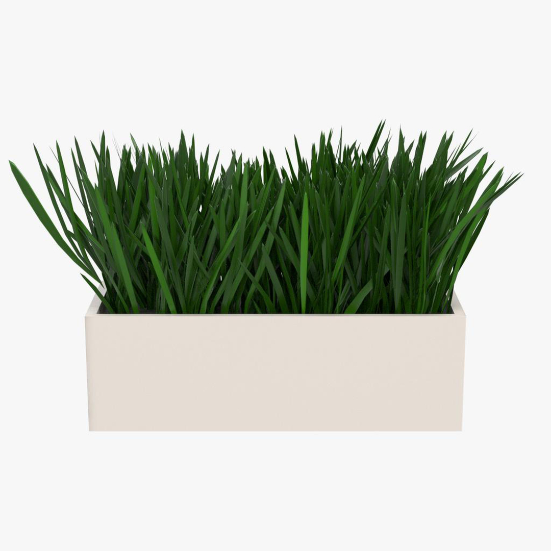 grass pot 2 3D model https://p.turbosquid.com/ts-thumb/7c/vilHtI/Qcsdpa2N/grass_in_a_pot_2turntables/jpg/1594578751/1920x1080/turn_fit_q99/8f48cbb1a1e1142112ccc500ed8de918226ea49f/grass_in_a_pot_2turntables-1.jpg