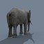 Pro Elephant - Trio Rhinocéros et Hippopotame 8K