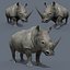 Pro Elephant - Trio Rhinocéros et Hippopotame 8K