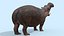 Pro Elephant - Trio Rhinocéros et Hippopotame 8K
