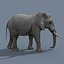 Pro Elephant - Trio Rhinocéros et Hippopotame 8K