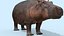 Pro Elephant - Trio Rhinocéros et Hippopotame 8K