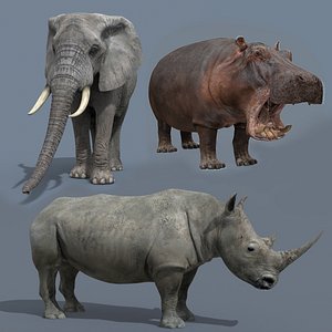 Pro Elephant - Rhino and Hippo TRIO 8K