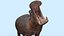Pro Elephant - Trio Rhinocéros et Hippopotame 8K
