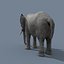 Pro Elephant - Trio Rhinocéros et Hippopotame 8K