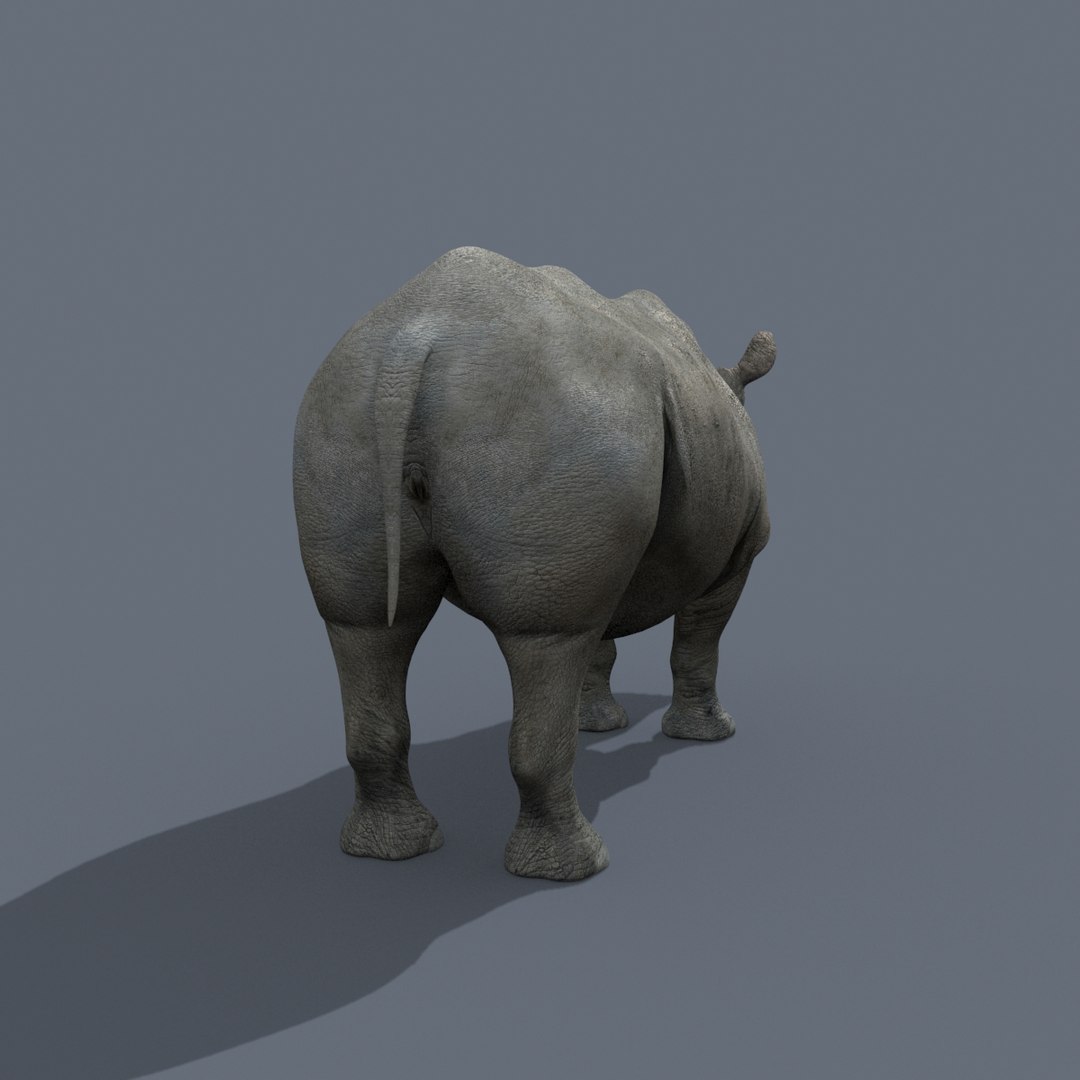 Pro Elephant - Rhino and Hippo TRIO 8K 3D model https://p.turbosquid.com/ts-thumb/7d/Hkj3uZ/UT/29/jpg/1765907835/1920x1080/fit_q87/f1dcf0a05dbaf16d28ac04e6fa3eba9a9b3f9622/29.jpg