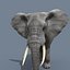 Pro Elephant - Trio Rhinocéros et Hippopotame 8K
