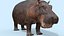 Pro Elephant - Trio Rhinocéros et Hippopotame 8K
