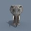 Pro Elephant - Trio Rhinocéros et Hippopotame 8K