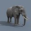 Pro Elephant - Trio Rhinocéros et Hippopotame 8K