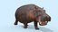 Pro Elephant - Trio Rhinocéros et Hippopotame 8K