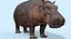 Pro Elephant - Trio Rhinocéros et Hippopotame 8K
