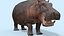 Pro Elephant - Trio Rhinocéros et Hippopotame 8K