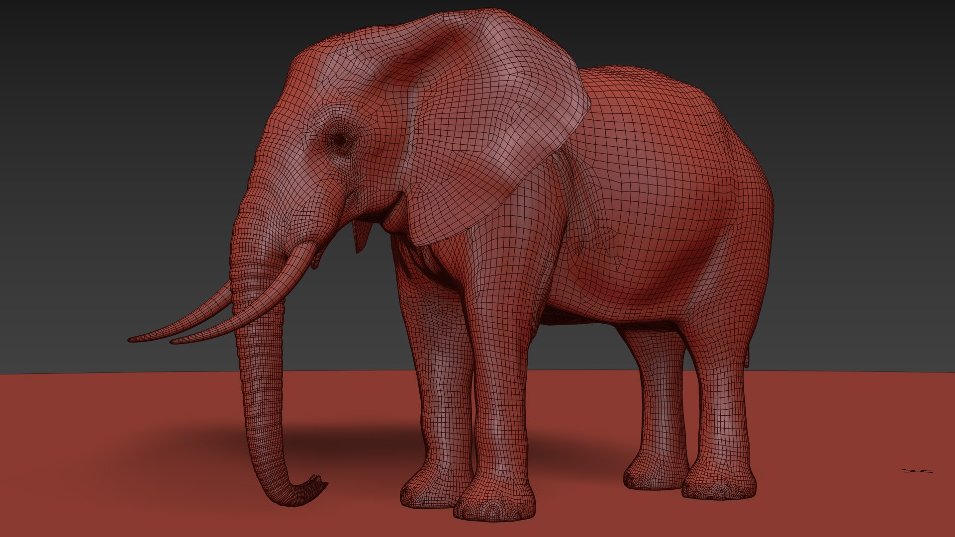 Pro Elephant - Rhino and Hippo TRIO 8K 3D model https://p.turbosquid.com/ts-thumb/7d/Hkj3uZ/of/16/jpg/1765907600/1920x1080/fit_q87/172aa5bd8513a4727a1b00a5efb1e40bc92ffeb4/16.jpg
