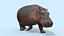 Pro Elephant - Trio Rhinocéros et Hippopotame 8K