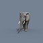 Pro Elephant - Trio Rhinocéros et Hippopotame 8K