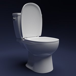 3D realistic toilet