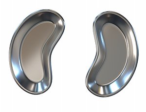 Kidney Bowl Tray PBR 3D